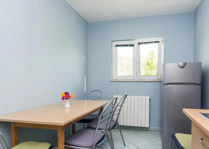 In Nin With Pool Near The Apartman Zaton